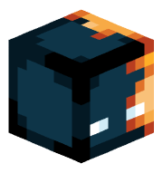 Cagiercamera137