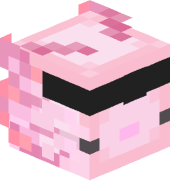 o7ty