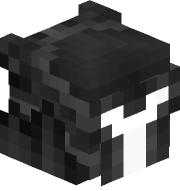 blekk11