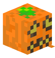 iboibo1213