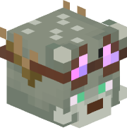 Sophiimoo