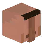 Alic25