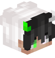 Amir6
