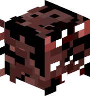 turbojionni