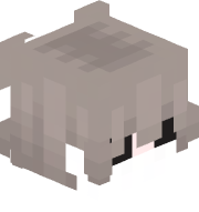 slwm