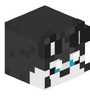 AppleExpl01t