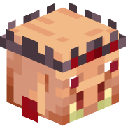 Somaoma2