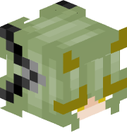 Hyoidian