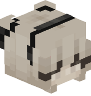 Sensei5516