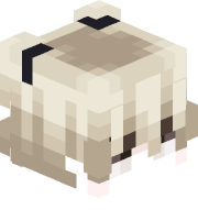 ZzanePVP