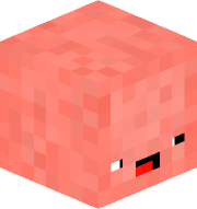 Foetuus