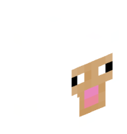 bassorox