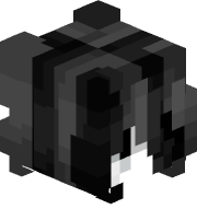 5_5y