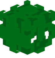 Dendy38
