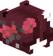 IdkMoshi