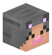 EndrDragon43