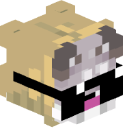 Theamazingsnipp