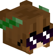 Octa_pie