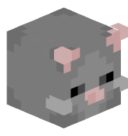 FauLus_KaKtus