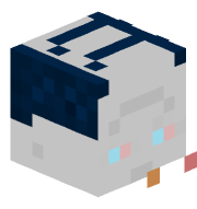 Otto50501