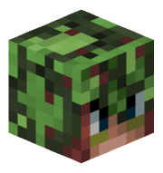 shzc