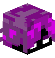 Canip