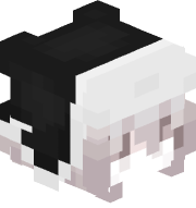 IMIKao