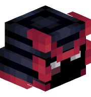 DejavuTm