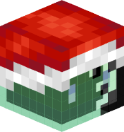 SN_magnet