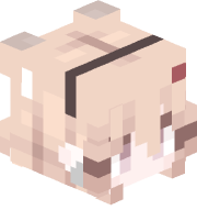 dragzsm