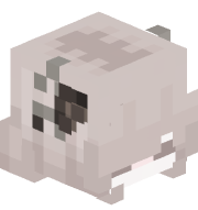 Kitusne