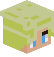 SanitizerDoesMC