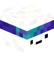 SCOLKS