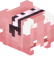 pnminh