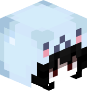 Nachcat