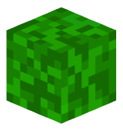 Fabi_pro_jump