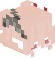 TransTemo