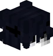 zbrash