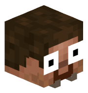 0xMaximalst