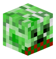 Bay_Creeper06