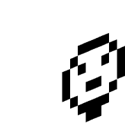 sealace