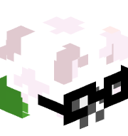 KhizerBoy