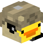 Duckksss