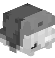 AMMARUM