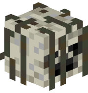 ffnu
