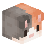 Super_catYT