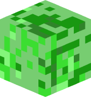 Cucumberman7