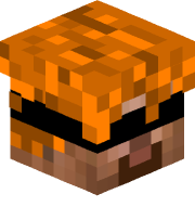 Ginger2416