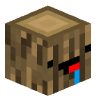 Tete Minecraft de flinty4