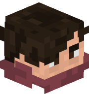 skin gracza